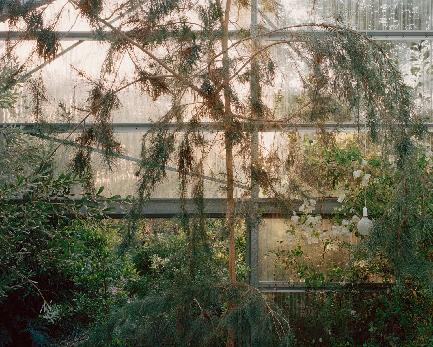 Image 6